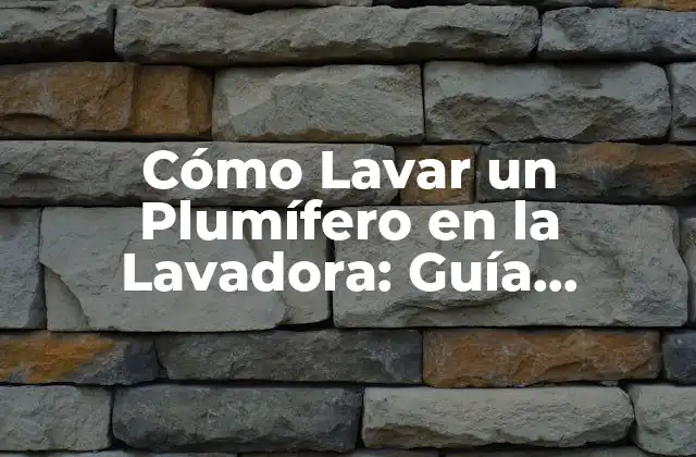 Cómo Lavar un Plumífero en la Lavadora: Guía Detallada y Segura
