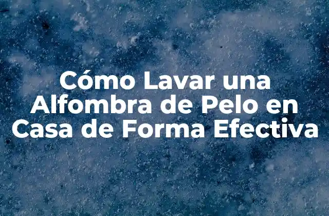 Cómo Lavar una Alfombra de Pelo en Casa de Forma Efectiva