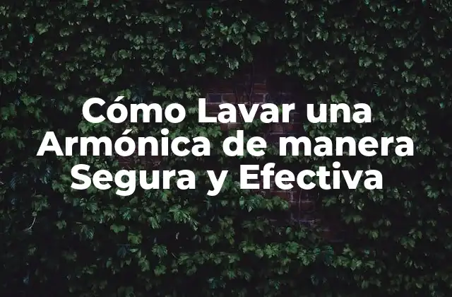 Cómo Lavar una Armónica de Manera Segura y Efectiva