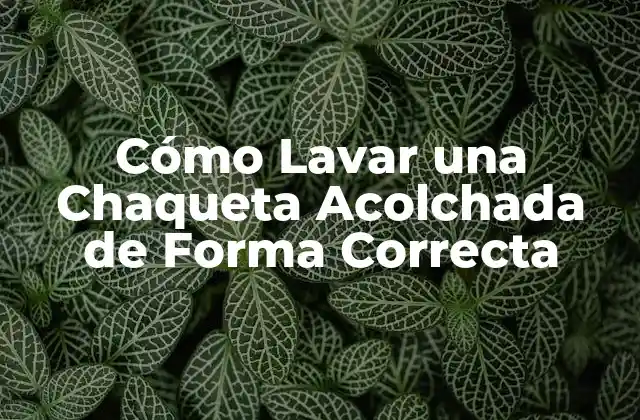 Cómo Lavar una Chaqueta Acolchada de Forma Correcta