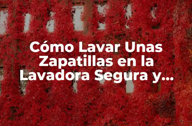 Cómo Lavar unas Zapatillas en la Lavadora Segura y Efectivamente
