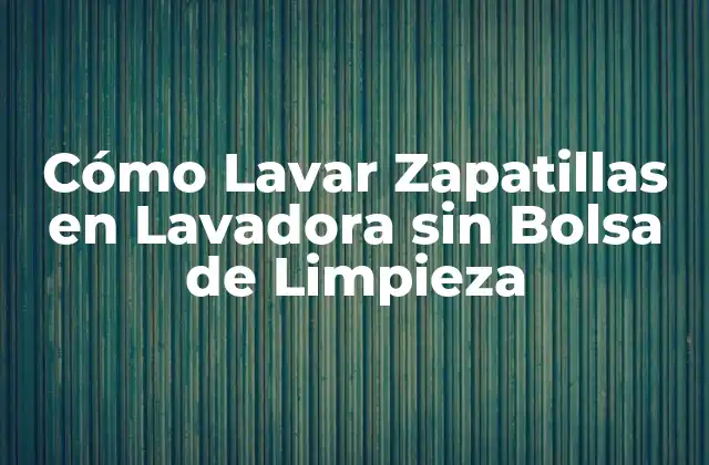 Cómo Lavar Zapatillas en Lavadora sin Bolsa de Limpieza