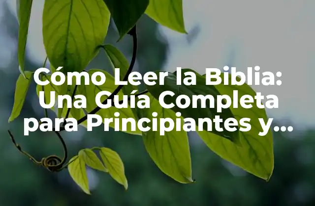 Cómo Leer la Biblia: una Guía Completa para Principiantes y Avanzados