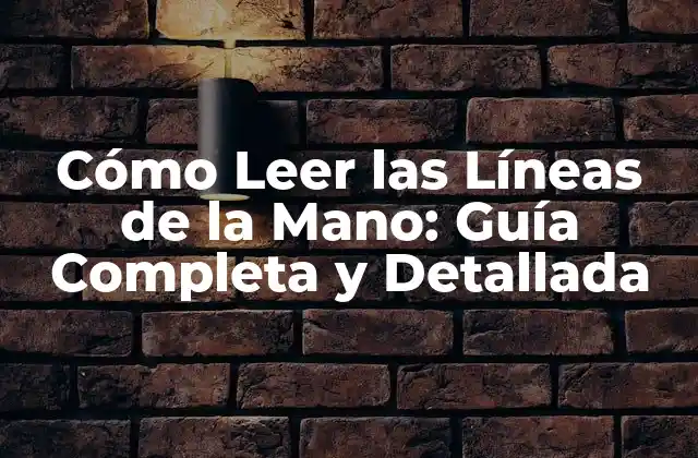 Cómo Leer las Líneas de la Mano: Guía Completa y Detallada