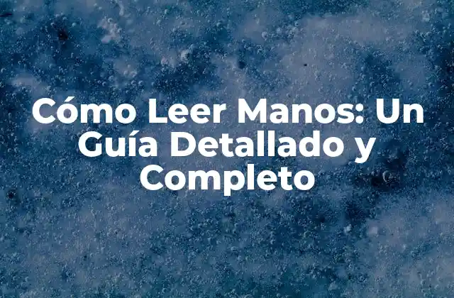 Cómo Leer Manos: un Guía Detallado y Completo 2 La Anatomía de la Mano: Entendiendo las Partes de la Mano