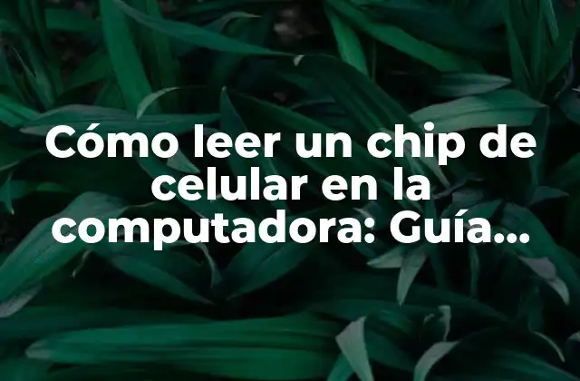 Cómo Leer un Chip de Celular en la Computadora: Guía Práctica y Detallada