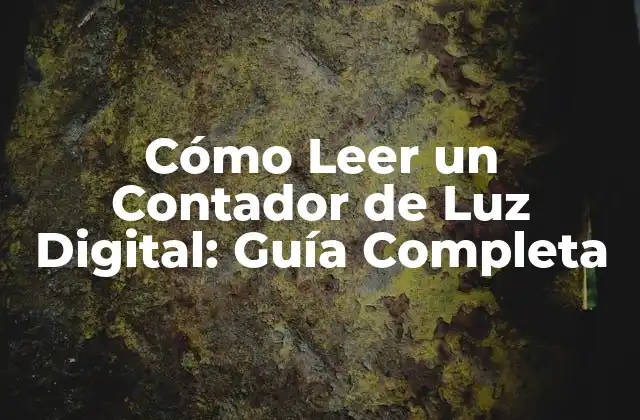 Cómo Leer un Contador de Luz Digital: Guía Completa