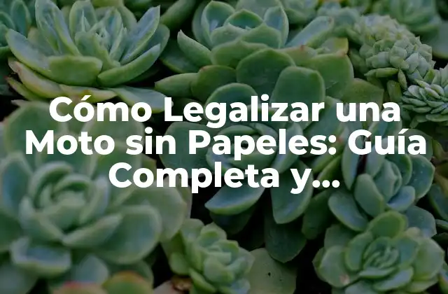 Cómo Legalizar una Moto sin Papeles: Guía Completa y Actualizada