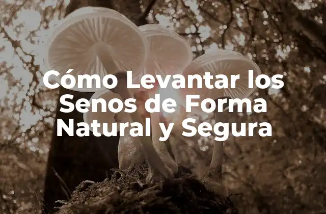 Cómo Levantar los Senos de Forma Natural y Segura