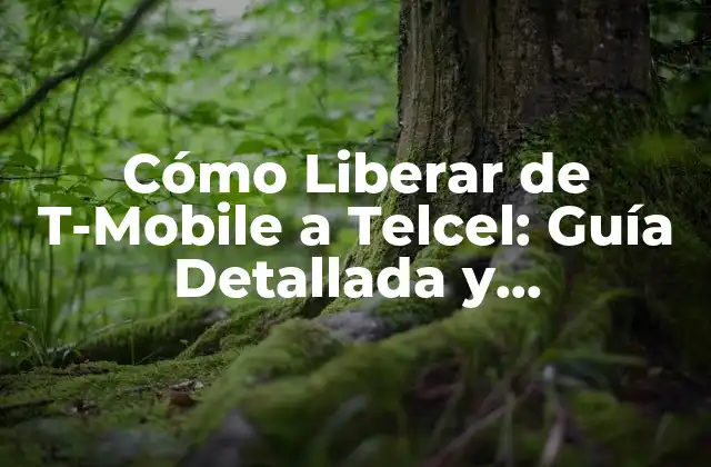 Cómo Liberar de T-mobile a Telcel: Guía Detallada y Actualizada