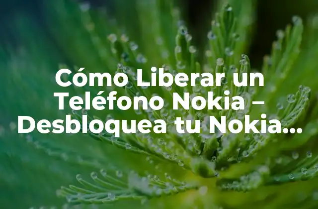 ¿Por qué es importante liberar un teléfono Nokia?