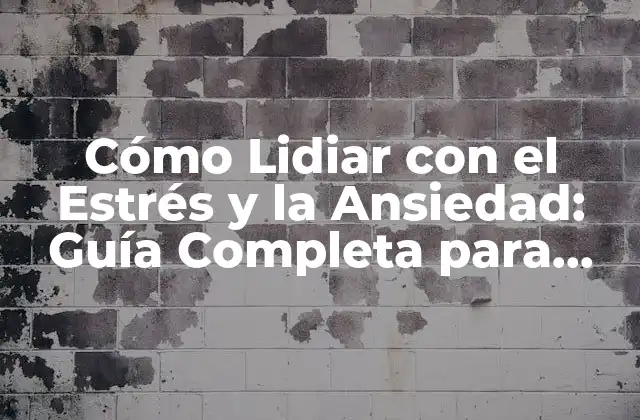Cómo Lidiar con el Estrés y la Ansiedad: Guía Completa para una Vida Más Saludable