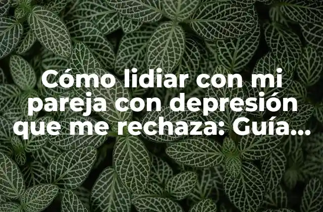 Cómo Lidiar con Mi Pareja con Depresión que Me Rechaza: Guía Práctica