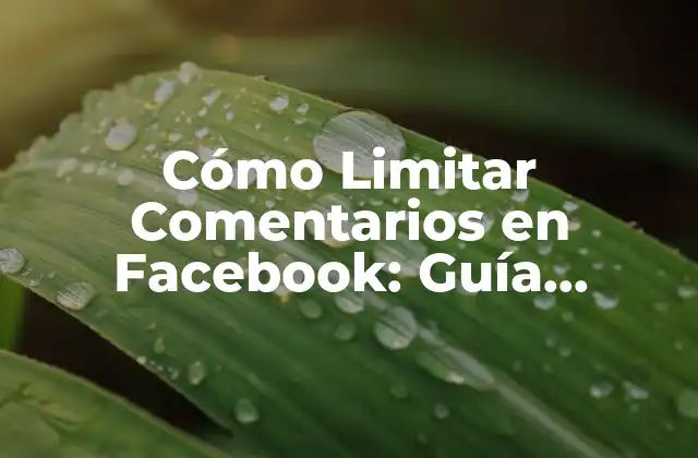 Cómo Limitar Comentarios en Facebook: Guía Completa