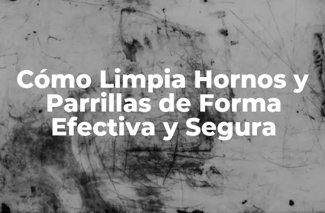 Cómo Limpia Hornos y Parrillas de Forma Efectiva y Segura