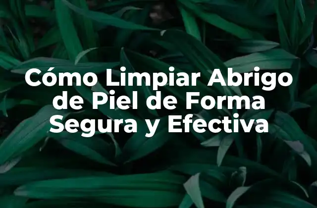 Tipos de Piel y su Importancia en la Limpieza