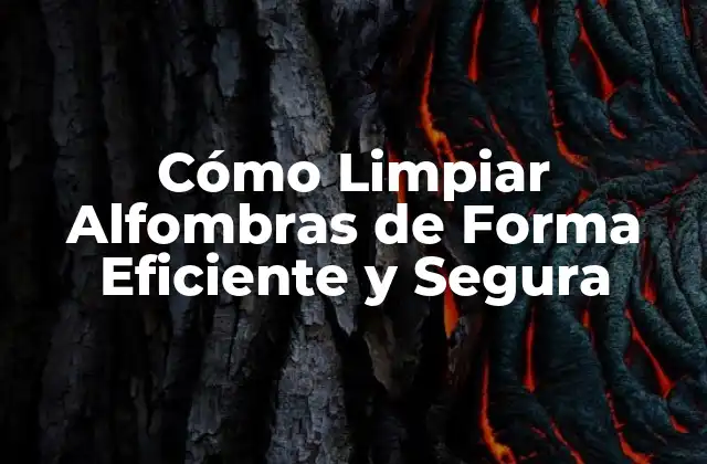 Cómo Limpiar Alfombras de Forma Eficiente y Segura 2 Tipos de Alfombras y sus Requerimientos de Limpieza