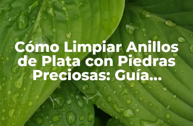 Cómo Limpiar Anillos de Plata con Piedras Preciosas: Guía Completa