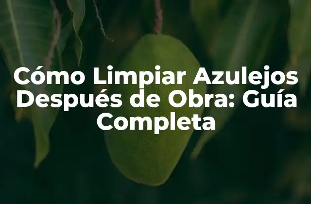 Preparación para la Limpieza de Azulejos Después de Obra