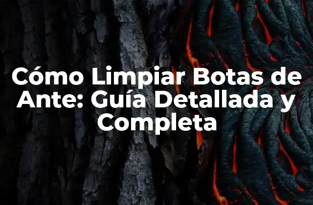 Cómo Limpiar Botas de Ante: Guía Detallada y Completa
