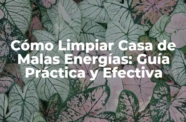 Cómo Limpiar Casa de Malas Energías: Guía Práctica y Efectiva
