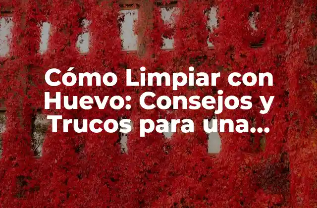 Cómo Limpiar con Huevo: Consejos y Trucos para una Limpieza Efectiva