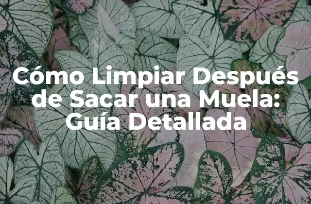 Cómo Limpiar Después de Sacar una Muela: Guía Detallada