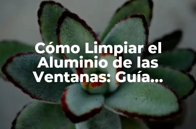 Cómo Limpiar el Aluminio de las Ventanas: Guía Completa y Detallada