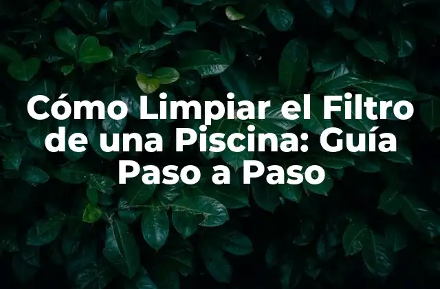 Cómo Limpiar el Filtro de una Piscina: Guía Paso a Paso