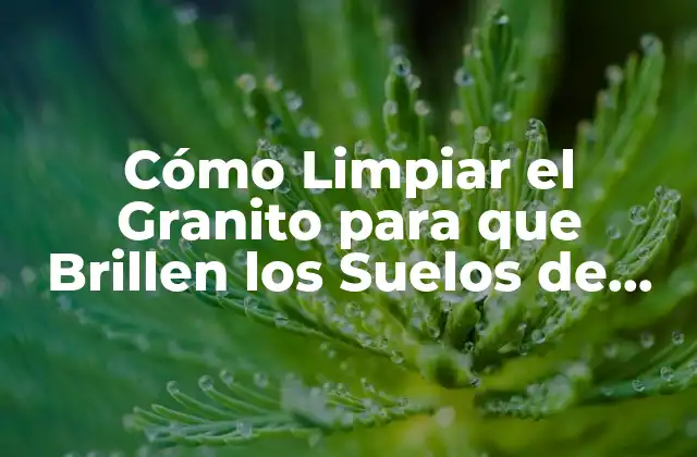 Cómo Limpiar el Granito para que Brillen los Suelos de Cocina y Baño