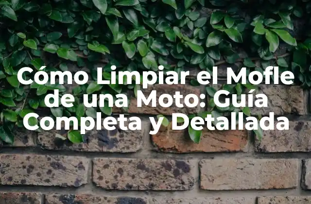 Cómo Limpiar el Mofle de una Moto: Guía Completa y Detallada 2 ¿Por qué es Importante Limpiar el Mofle de una Moto?