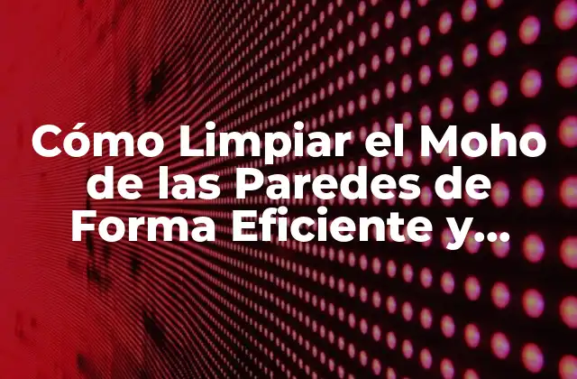 Cómo Limpiar el Moho de las Paredes de Forma Eficiente y Segura