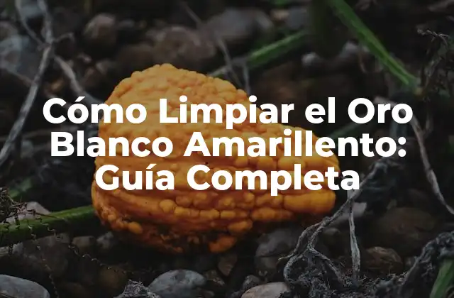 Cómo Limpiar el Oro Blanco Amarillento: Guía Completa