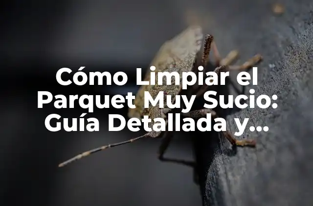 Cómo Limpiar el Parquet Muy Sucio: Guía Detallada y Efectiva