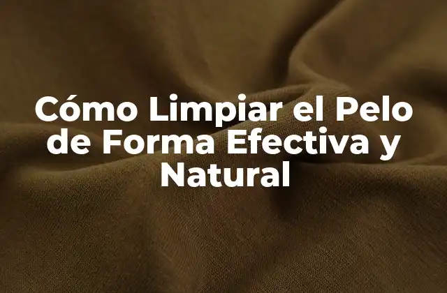 Cómo Limpiar el Pelo de Forma Efectiva y Natural