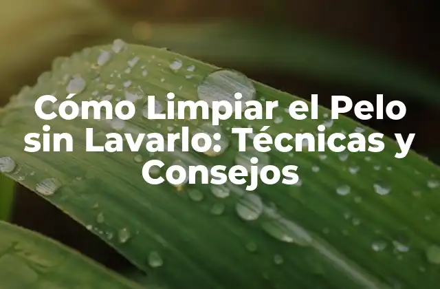 Cómo Limpiar el Pelo sin Lavarlo: Técnicas y Consejos