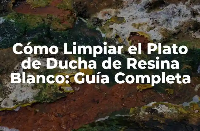 Cómo Limpiar el Plato de Ducha de Resina Blanco: Guía Completa