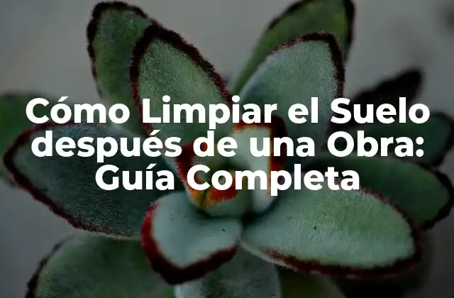 Cómo Limpiar el Suelo Después de una Obra: Guía Completa
