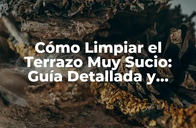 Cómo Limpiar el Terrazo Muy Sucio: Guía Detallada y Efectiva