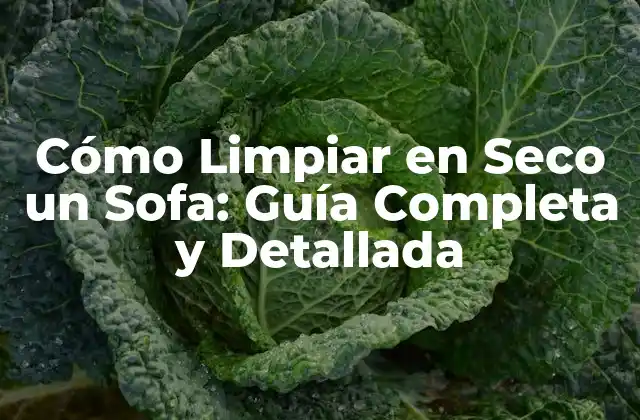 Cómo Limpiar en Seco un Sofa: Guía Completa y Detallada