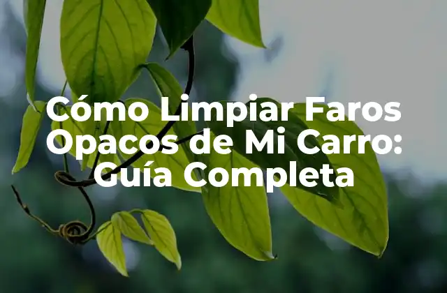 Cómo Limpiar Faros Opacos de Mi Carro: Guía Completa