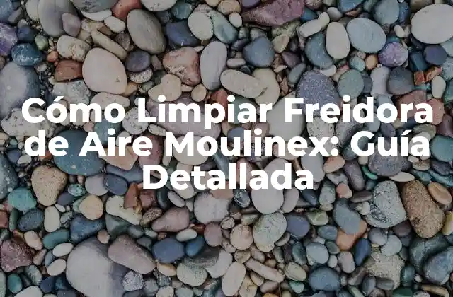 Cómo Limpiar Freidora de Aire Moulinex: Guía Detallada