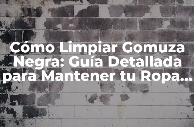 Cómo Limpiar Gomuza Negra: Guía Detallada para Mantener Tu Ropa de Gamuza en Excelente Estado