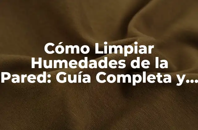 Cómo Limpiar Humedades de la Pared: Guía Completa y Efectiva