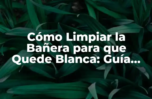 Cómo Limpiar la Bañera para que Quede Blanca: Guía Detallada y Completa