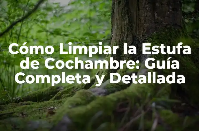 Cómo Limpiar la Estufa de Cochambre: Guía Completa y Detallada