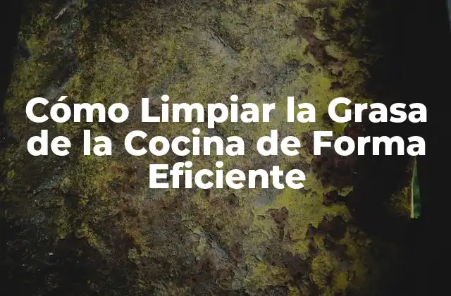 ¿Por qué es Importante Limpiar la Grasa de la Cocina?