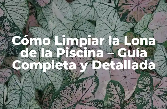 ¿Por qué es Importante Limpiar la Lona de la Piscina?