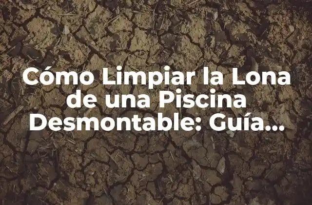 Cómo Limpiar la Lona de una Piscina Desmontable: Guía Completa