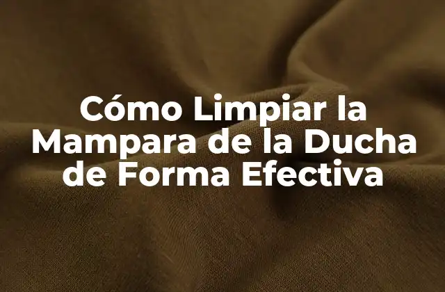 Cómo Limpiar la Mampara de la Ducha de Forma Efectiva